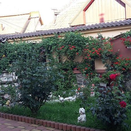Pensiunea Beltina Răşinari Exteriör bild