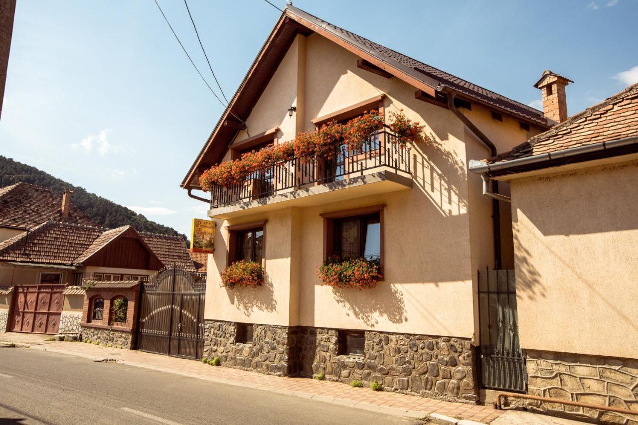 Pensiunea Beltina Răşinari Exteriör bild